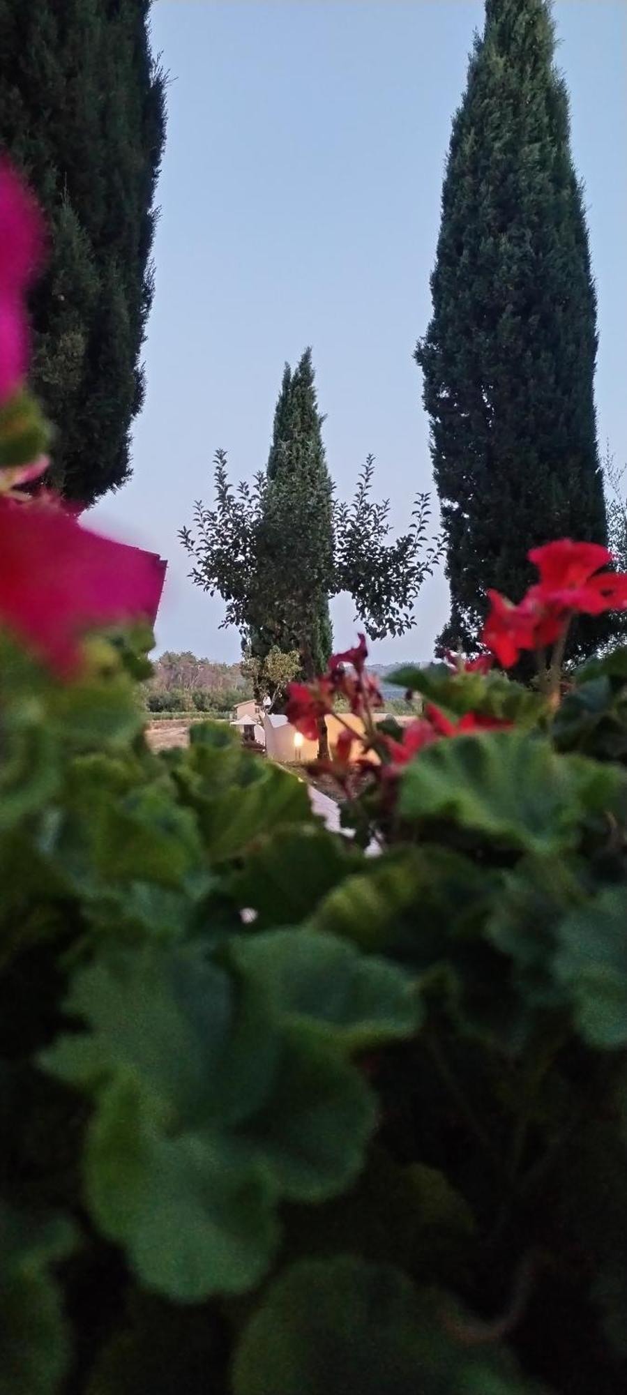 I Salici Agriturismo Badia Agnano Екстериор снимка