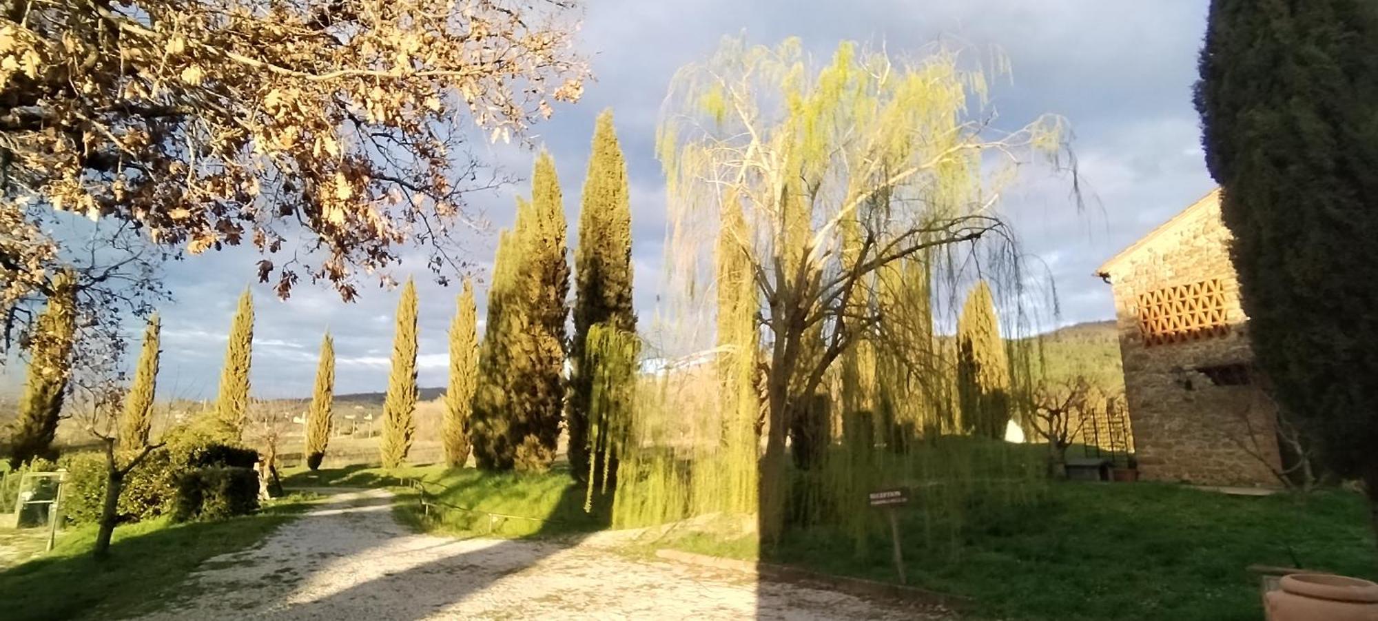 I Salici Agriturismo Badia Agnano Екстериор снимка